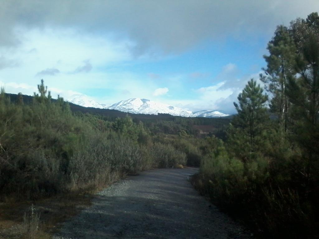 Casegas Quinta Do Favacal - Agroturismo - Serra Da Estrela מראה חיצוני תמונה