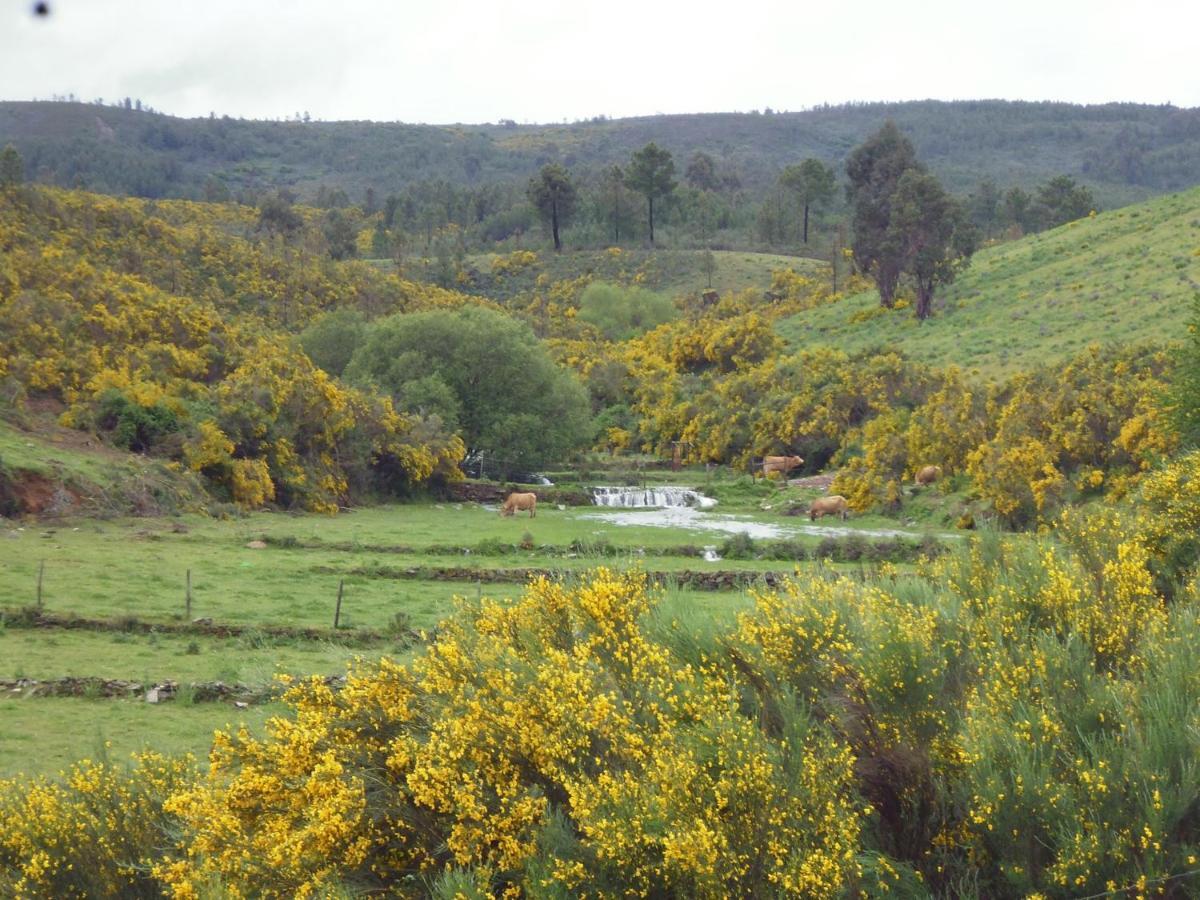 Casegas Quinta Do Favacal - Agroturismo - Serra Da Estrela מראה חיצוני תמונה
